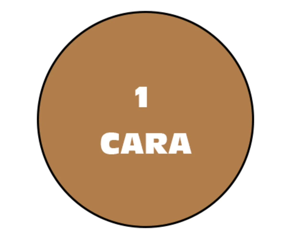 OFFSET 1 CARA