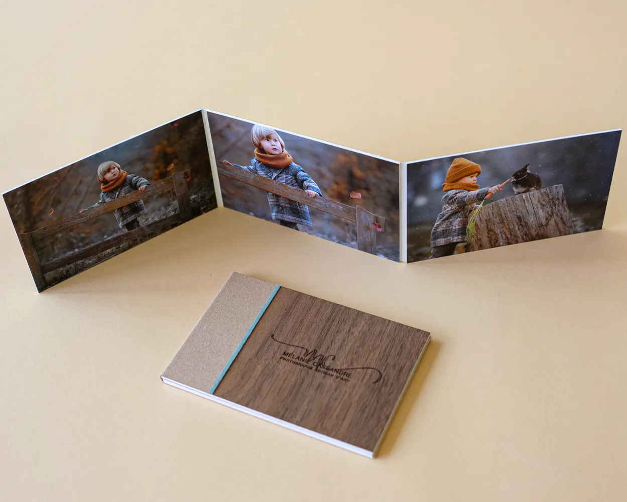 Dípticos, trípticos, acordeones fotográficos y analógicos