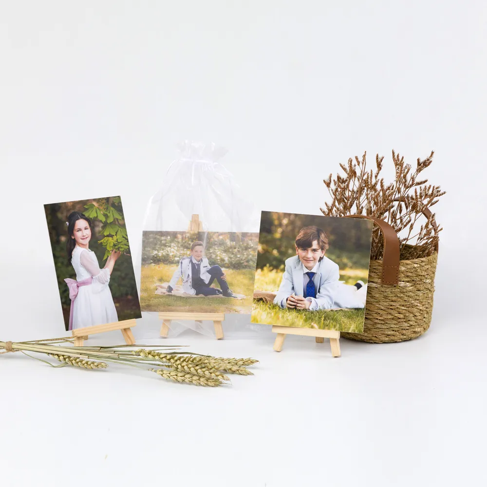 Lámina Rígida  con minicaballete